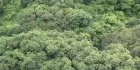 山景邨 高層 2房 381呎 居二價188